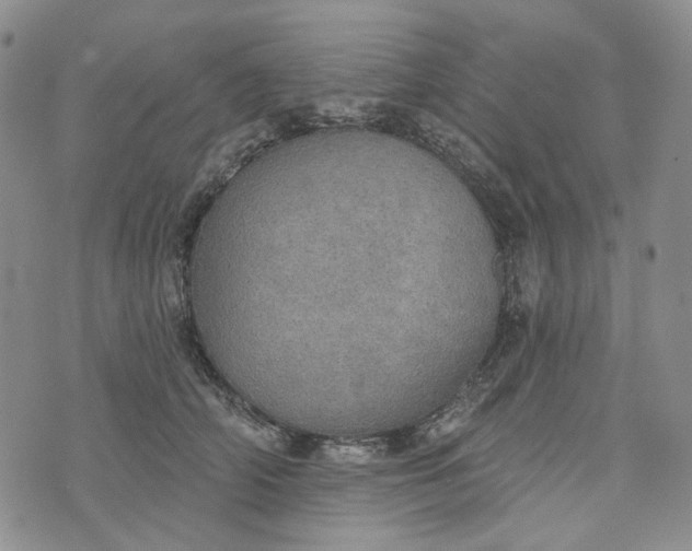 X0000072970706200608041218