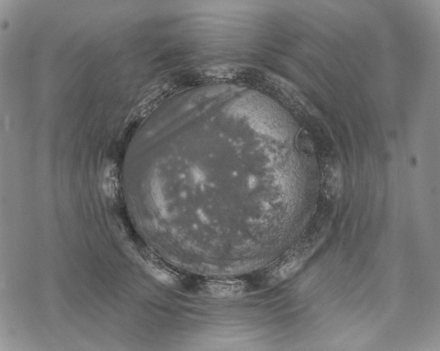 X0000072970707200608041218