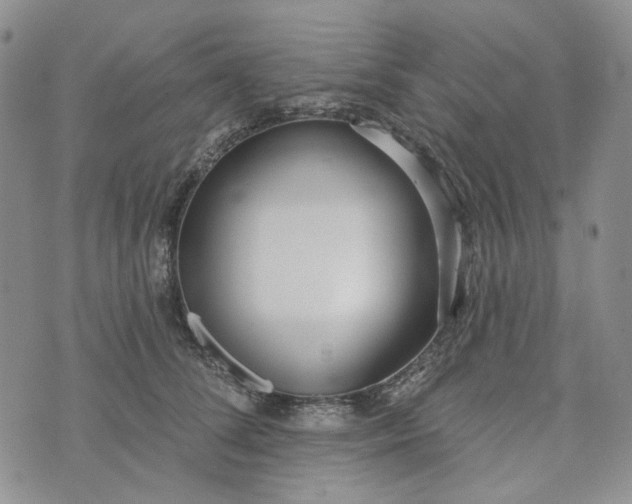 X0000072970708200608041218