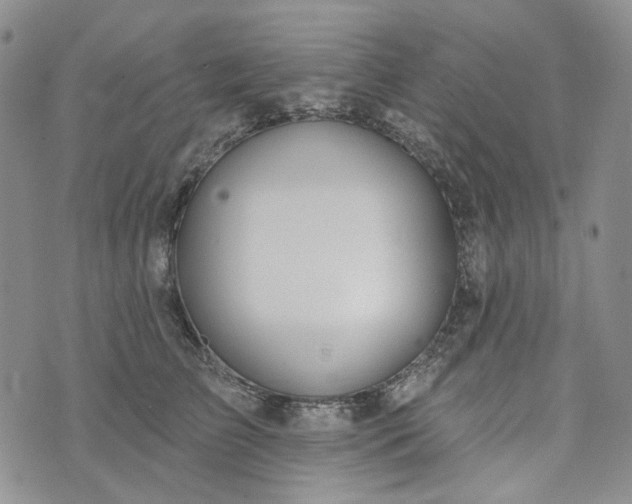 X0000072970709200608041218