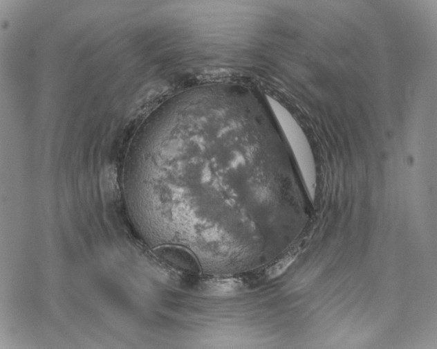 X0000072970711200608041218