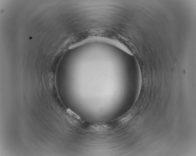 X0000072970712200608041218