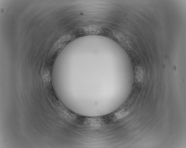 X0000072970713200608041218