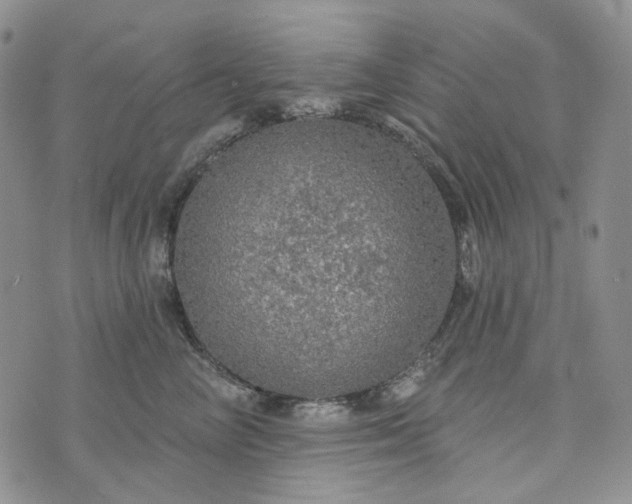 X0000072970714200608041218