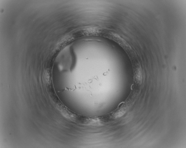 X0000072970715200608041218