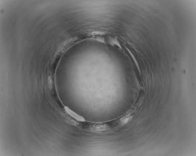 X0000072970716200608041218