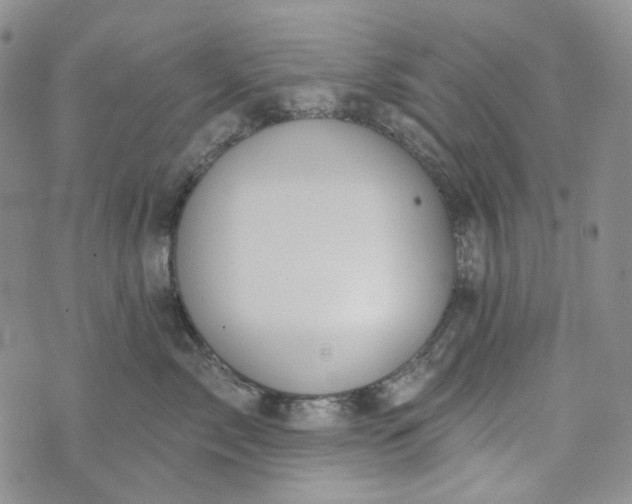 X0000072970717200608041218