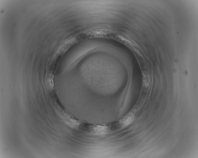 X0000072970718200608041218