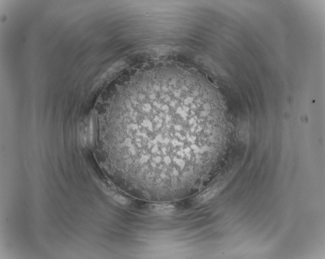 X0000072970719200608041218