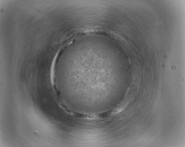 X0000072970720200608041218