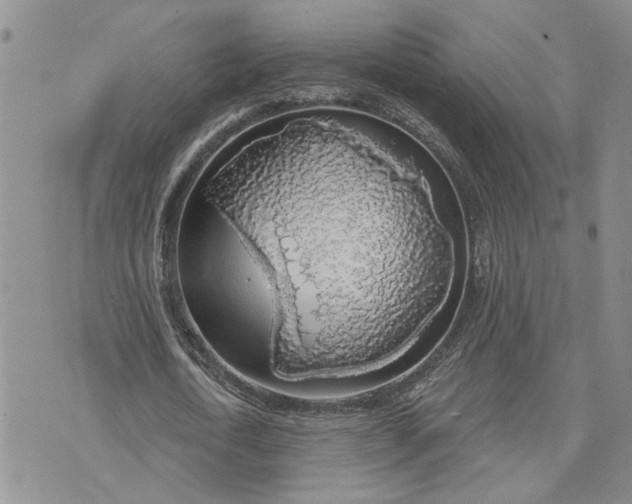 X0000072970722200608041217