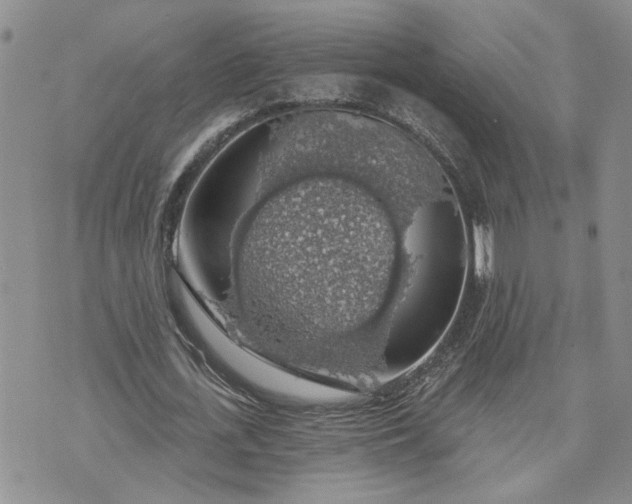 X0000072970723200608041217