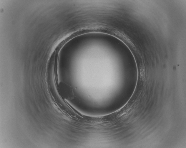 X0000072970724200608041217