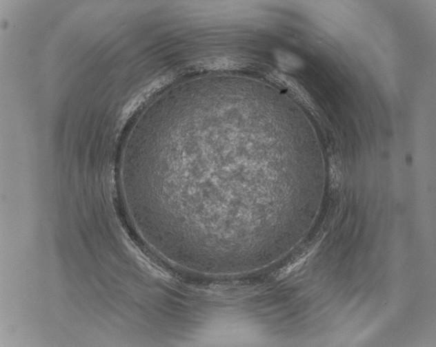 X0000072970725200608041217