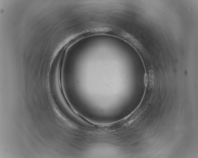 X0000072970726200608041217