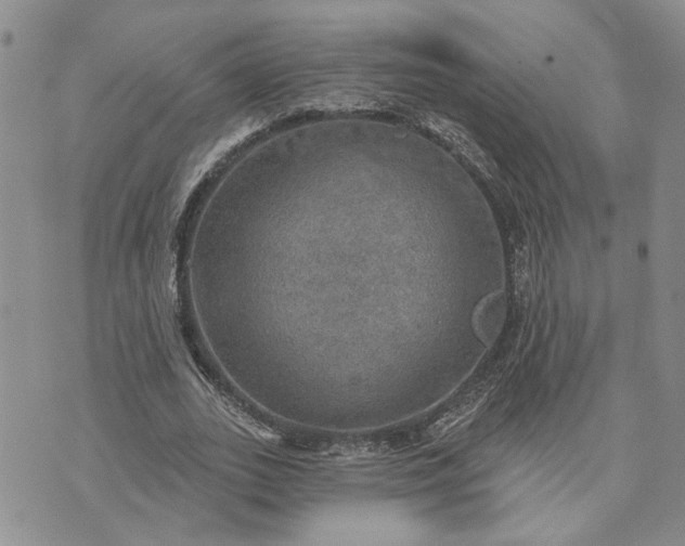 X0000072970727200608041217