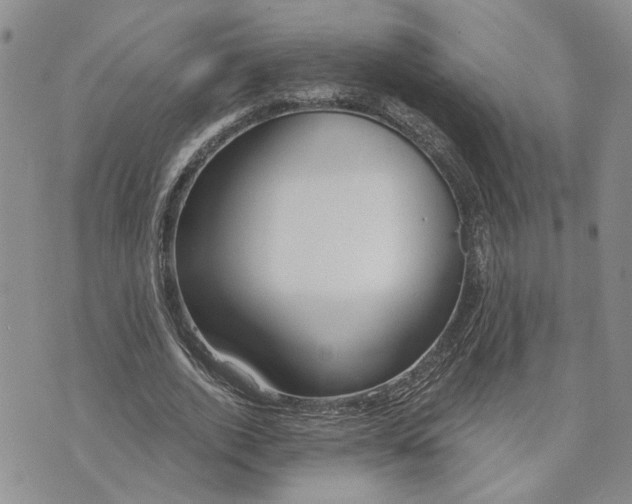 X0000072970728200608041217