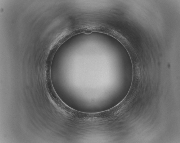 X0000072970730200608041217