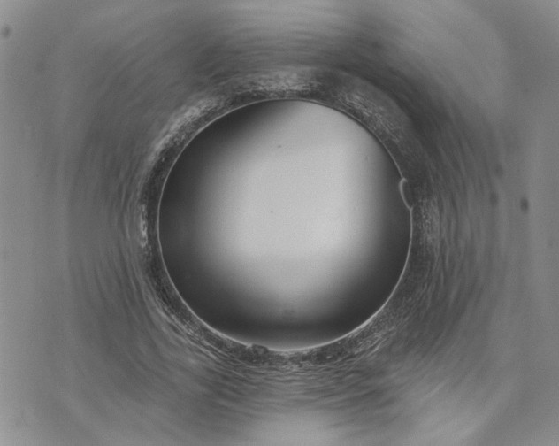 X0000072970731200608041217