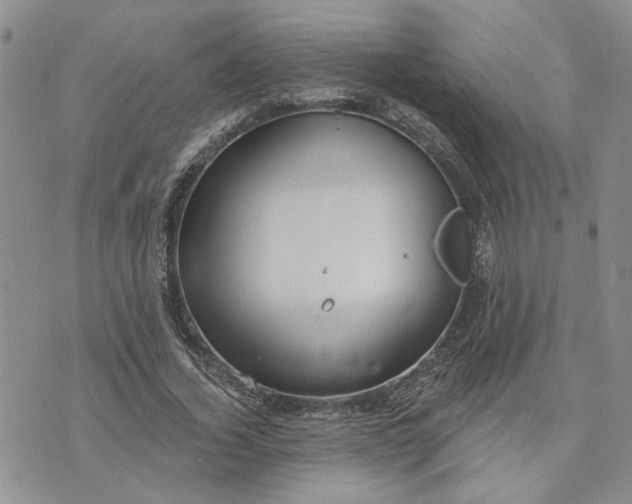 X0000072970732200608041217