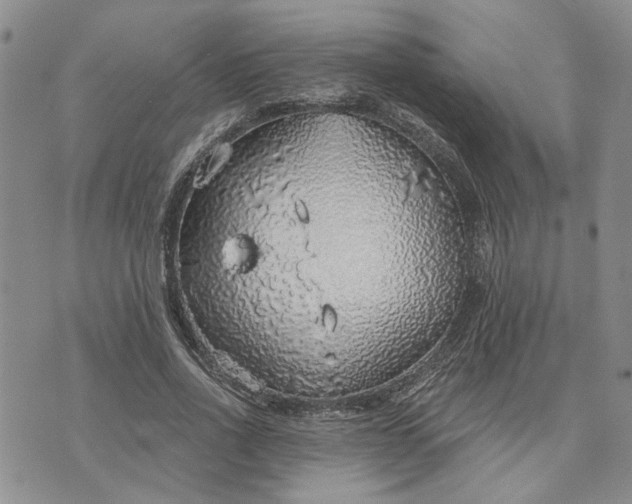 X0000072970734200608041217