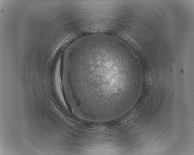 X0000072970735200608041217