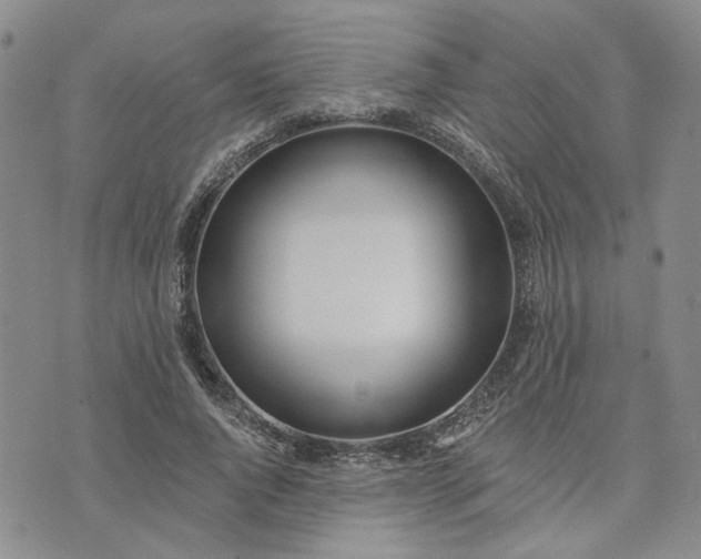 X0000072970736200608041217