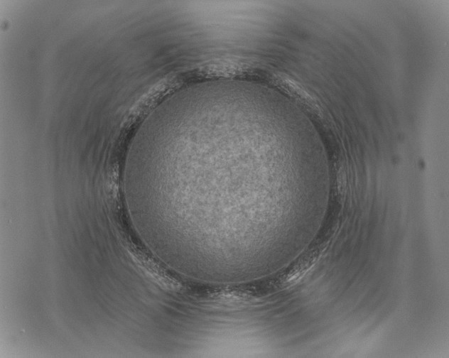 X0000072970737200608041217