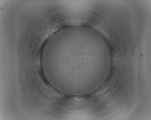 X0000072970739200608041217