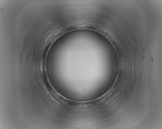 X0000072970740200608041217