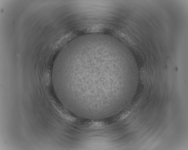 X0000072970741200608041217