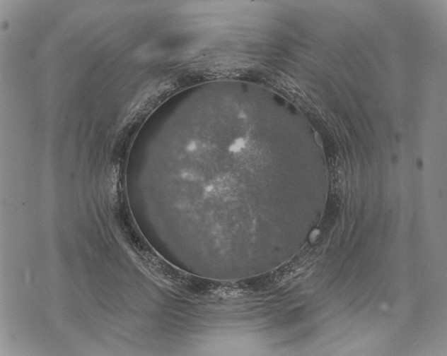 X0000072970742200608041217