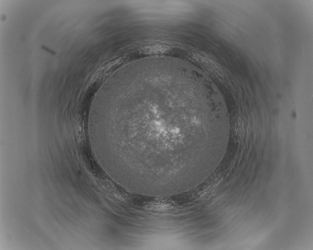 X0000072970743200608041217