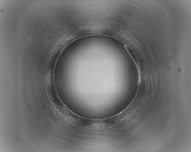 X0000072970744200608041217