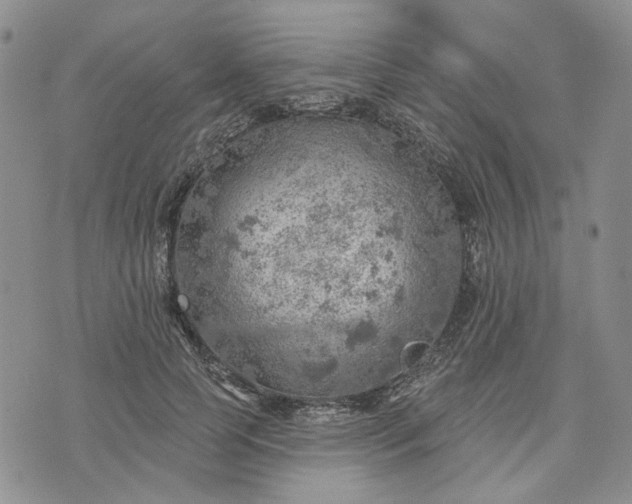 X0000072970745200608041217