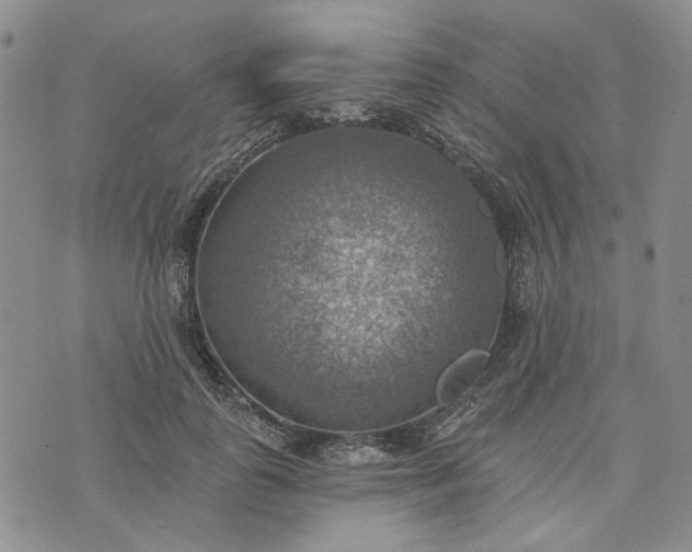 X0000072970747200608041217