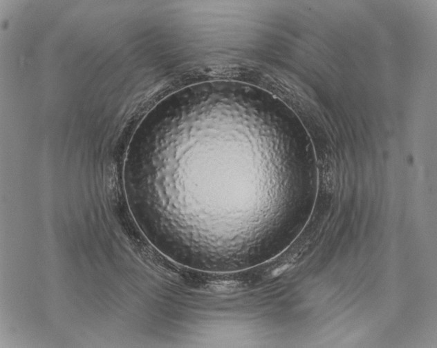 X0000072970748200608041217