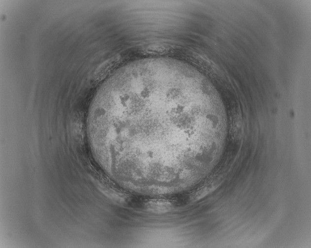 X0000072970749200608041217