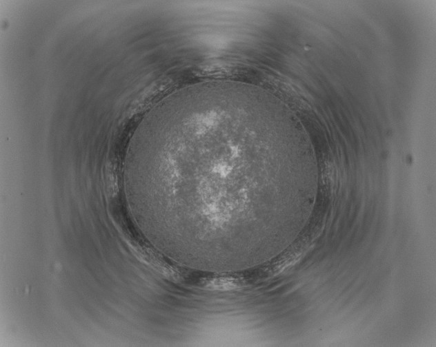 X0000072970751200608041218