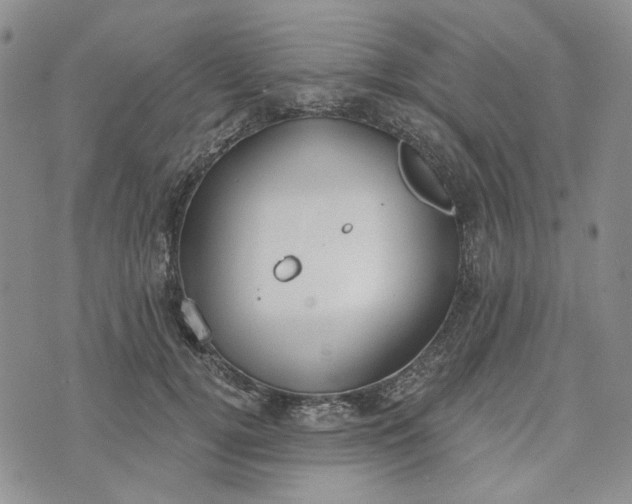 X0000072970752200608041218