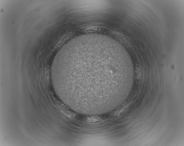 X0000072970753200608041218