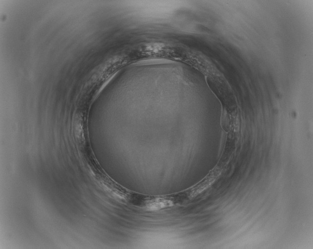 X0000072970754200608041218