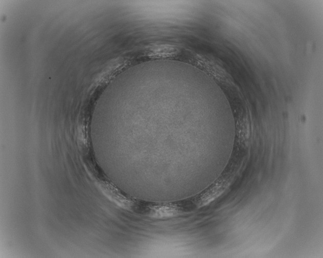 X0000072970755200608041218