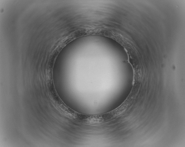 X0000072970756200608041218