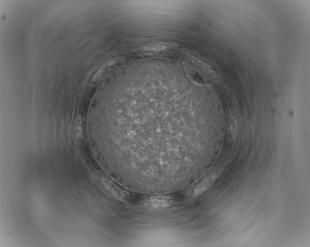 X0000072970758200608041218