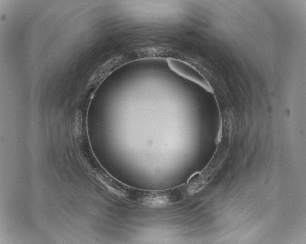 X0000072970760200608041218