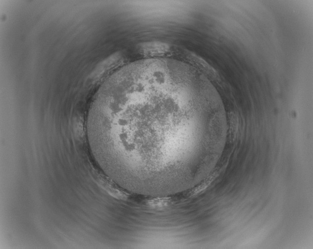 X0000072970761200608041218