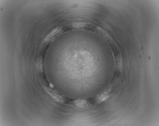 X0000072970762200608041218