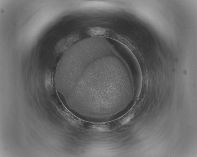 X0000072970763200608041218