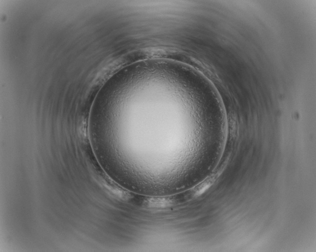 X0000072970766200608041218